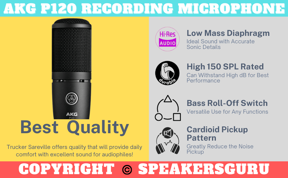 Best Budget Microphone For Vocals in 2024 - Speakers Guru