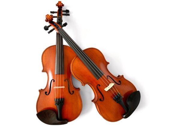 5 Best Violins For Professionals To Redefine Resonance 